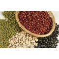 sugar beans long shape light speckled kidney beans/pinot beans